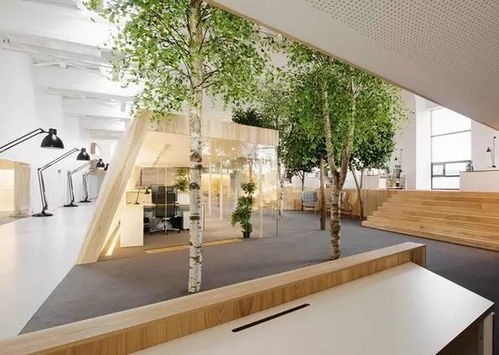 園藝療法與住宿服務(wù) 打造花草環(huán)繞的理想辦公空間